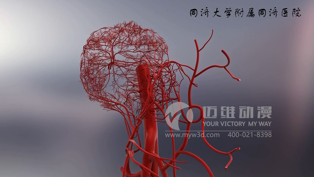 三維動(dòng)畫(huà)制作.png