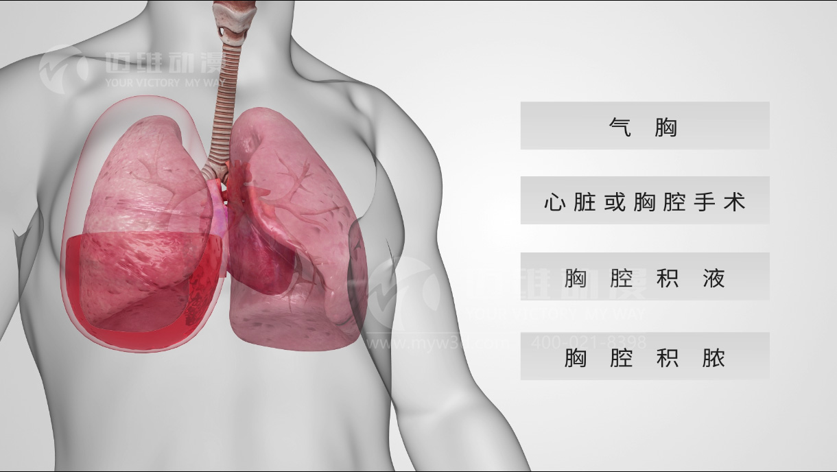 三維動(dòng)畫制作，三維動(dòng)畫演示.jpg
