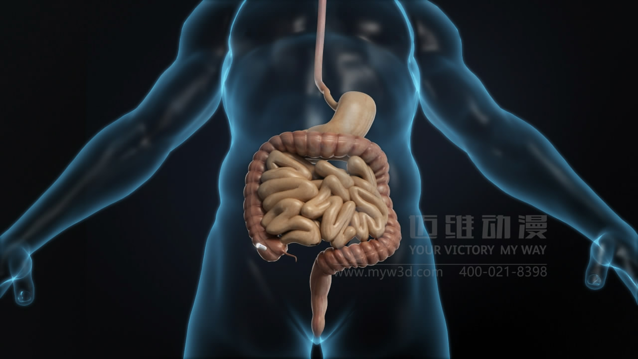 三維動(dòng)畫(huà)制作公司.JPG